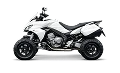 Vendita Quad usato garantito a Palermo